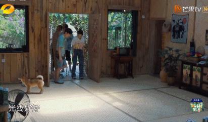 被骂想红，她真的冤