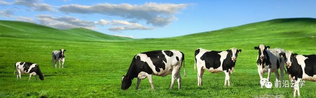 伊利人才发展,伊利人才红利