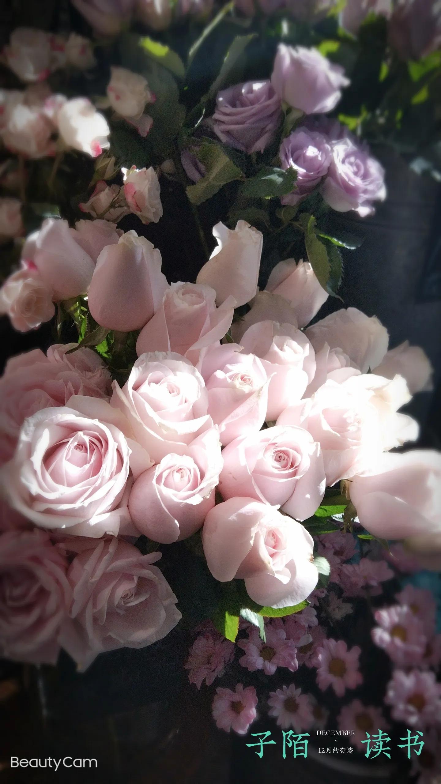 《自己的花是让别人看的》:我与季羡林先生的隔空相望……