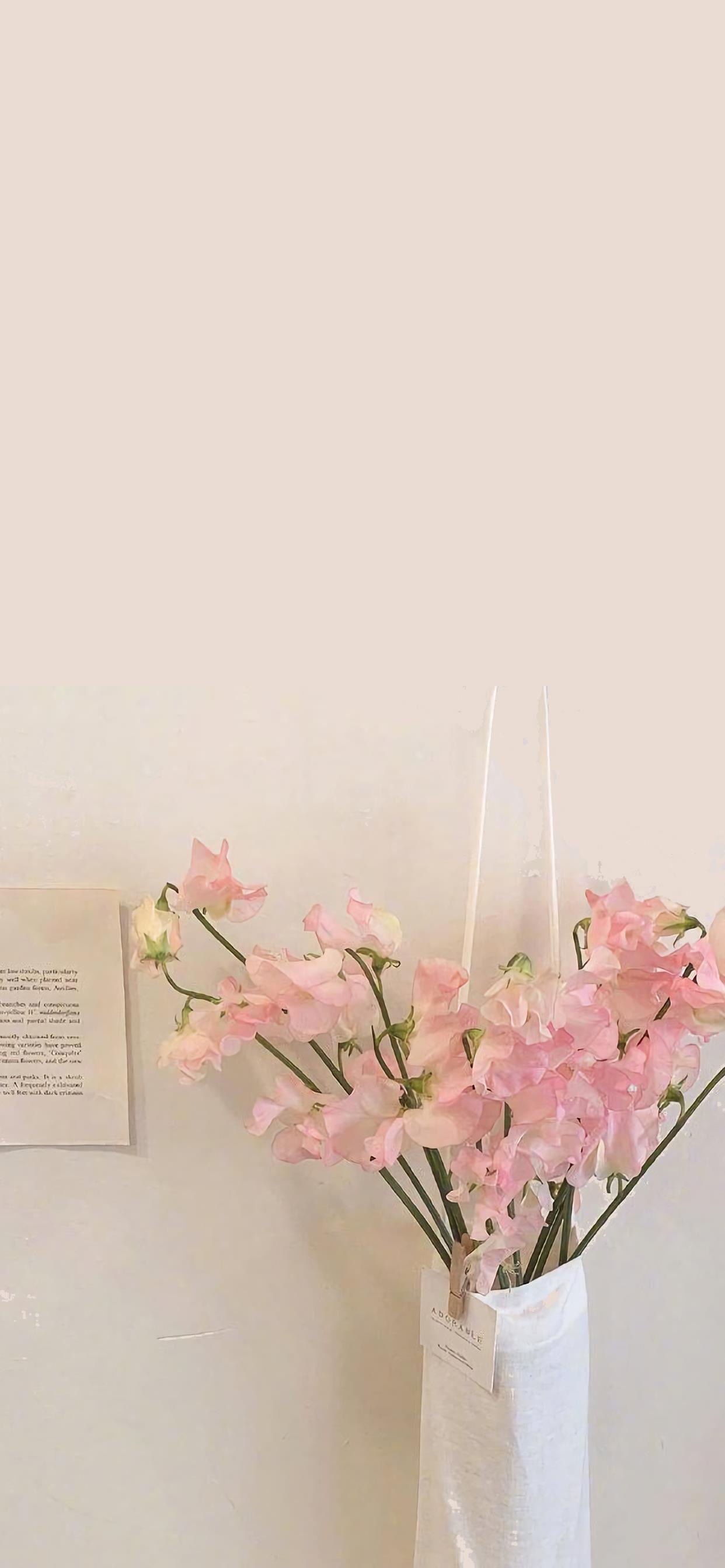 热门壁纸134期,快收藏高质量壁纸合集