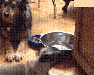 车门下面的塑料板裂了怎么修复,车门侧边裂了怎么修补