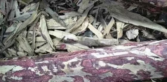 海南黄花梨和小叶紫檀金丝楠木,缅甸花梨和海南黄花梨的图片对比