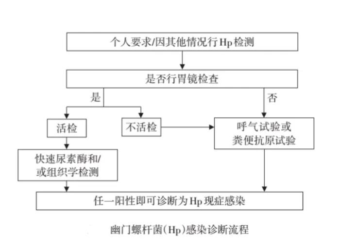 16岁孩子幽门螺杆菌阳性要治疗吗,幽门螺杆菌阳性dpm205严重吗