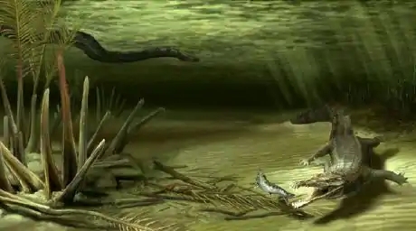 巨蛇恐怖视频真实,巨蛇的恐怖秘密