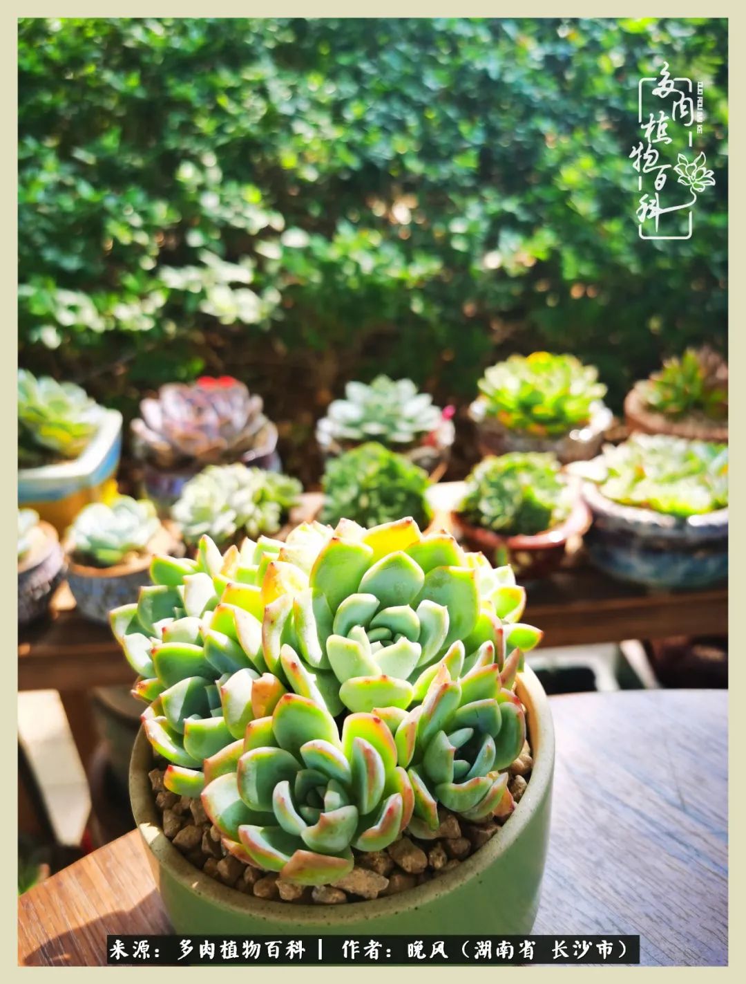 摇身一变成了奶爸,摇身一变成为打工人