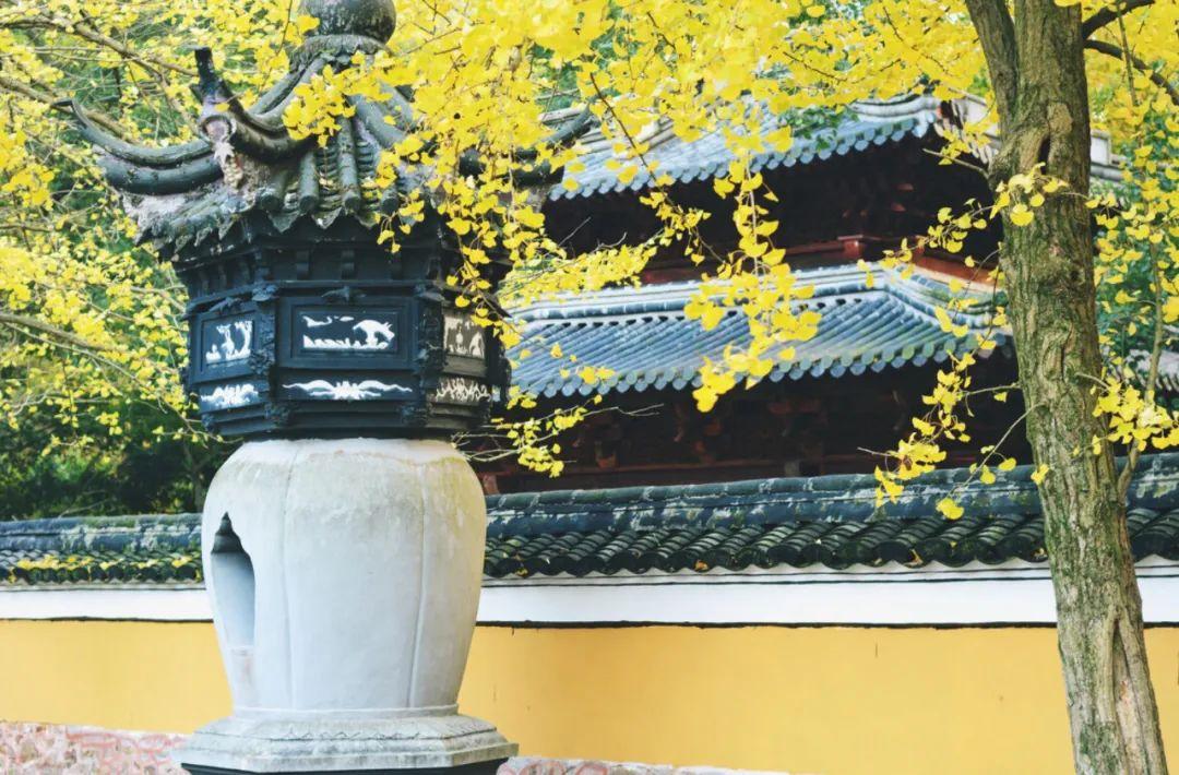 书藏古今港通天下,书藏古今港通天下央视