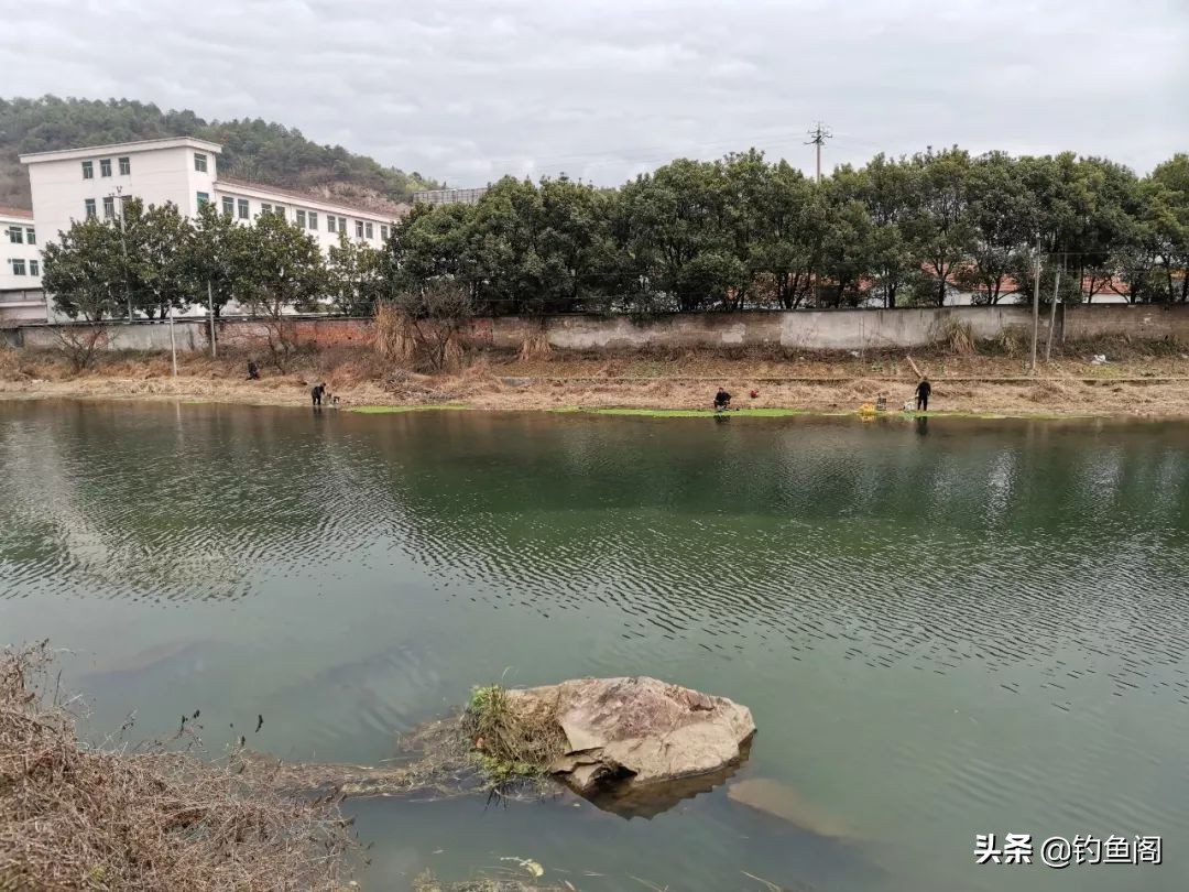 冬季钓鲫鱼是钓阴影好还是向阳好,冬季钓鱼钓顶风还是背风