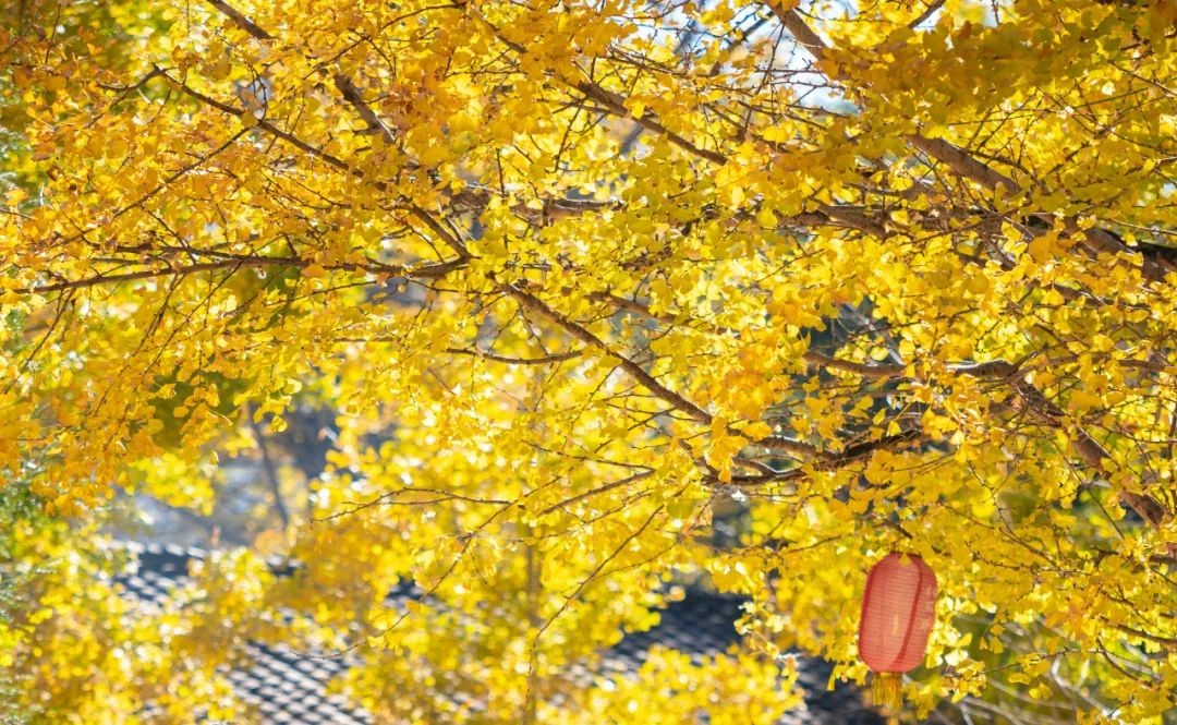 买一家酒店是一种什么样的体验,买房子一家人住3居好还是4居好