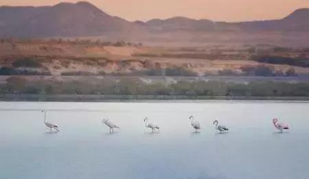 阿布扎比7天迪拜万豪5星酒店,阿布扎比度假攻略