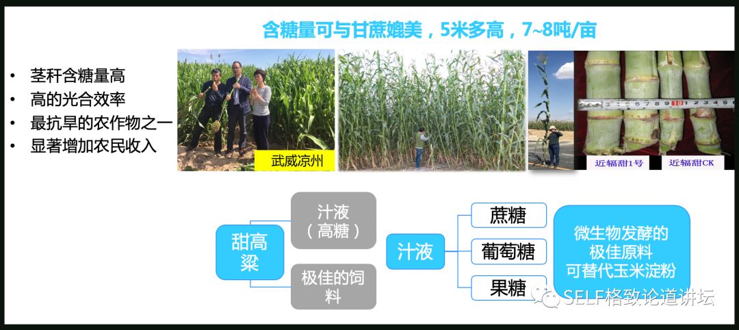 这个装置成功辅助我国两弹爆炸，现在它能治疗肿瘤