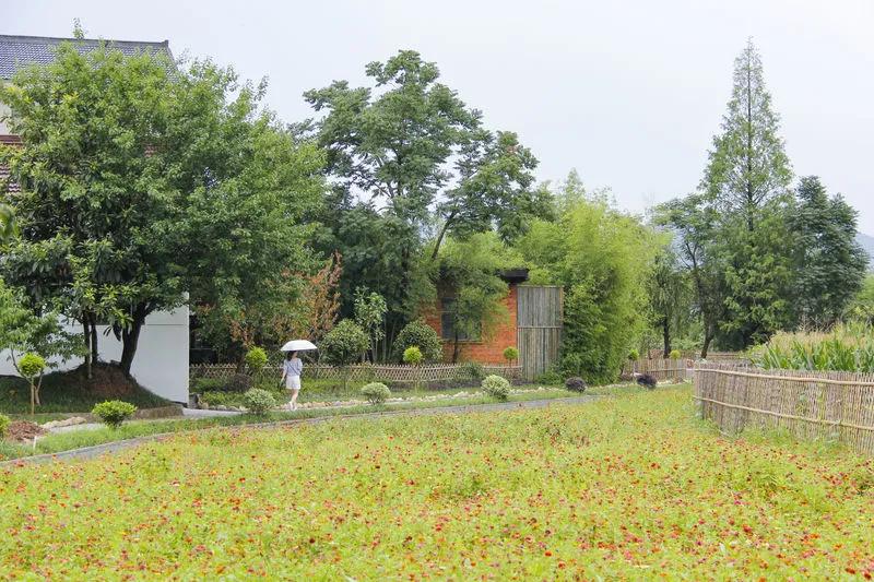 楂樻瓕鐚涜繘鐣欒禐,楂樻瓕鐚涜繘