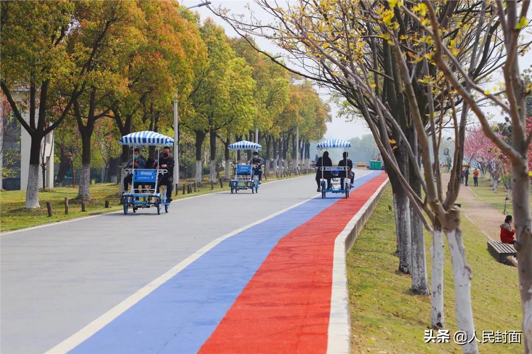 太湖骑行步道,无锡太湖骑行绿道