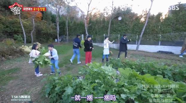 嫁豪门，考博士，做农妇？50岁的“大长今”复出荧屏，全网吐槽？