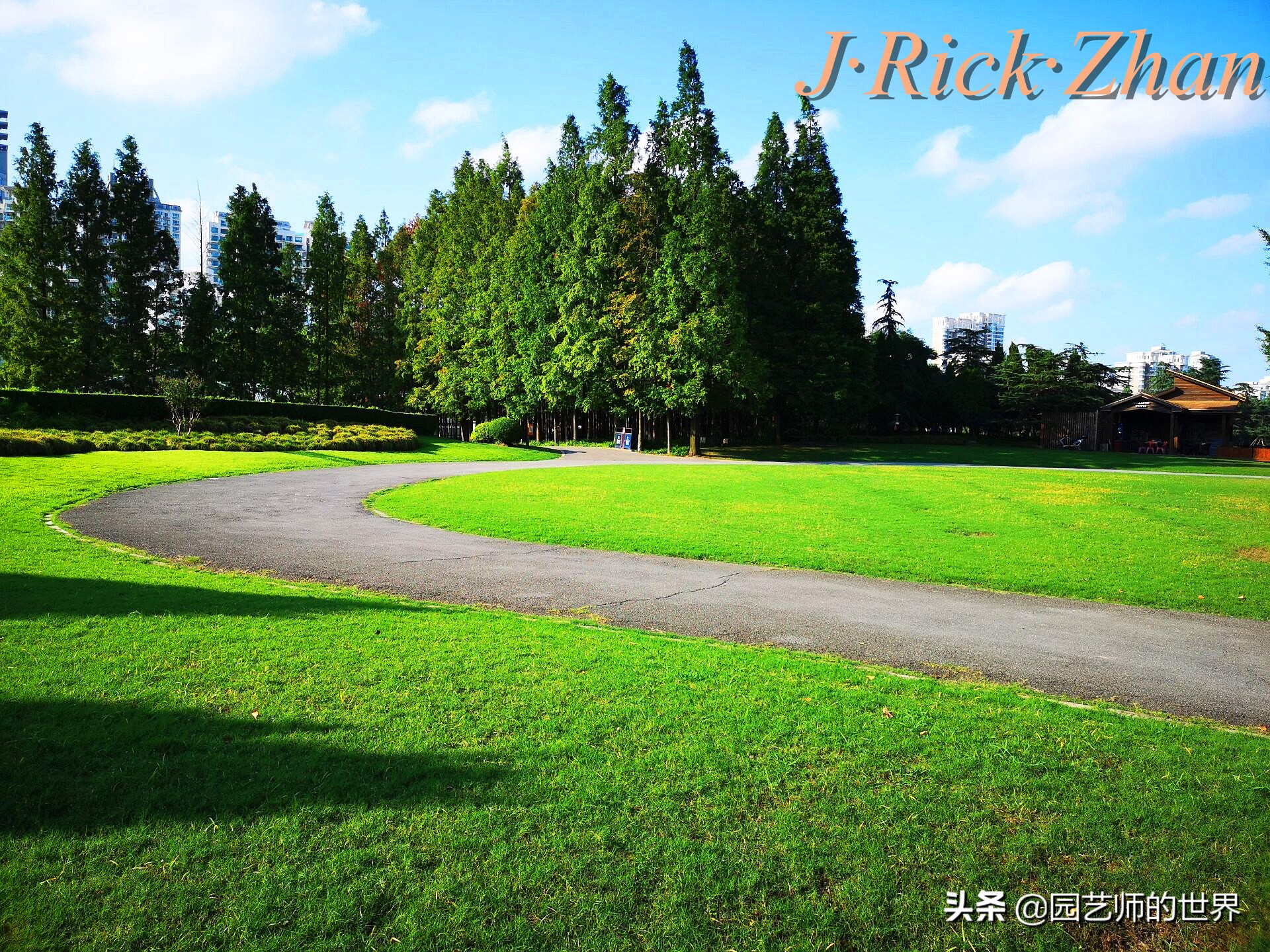 怎样种植草坪技术,果岭草坪的种植养护方法及技巧