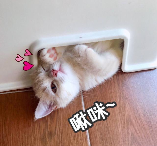 夏天出汗脱妆怎么办补妆,夏天避免脱妆的7个小技巧