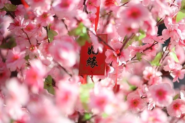 摄影术语解读大全,摄影圈名字大全