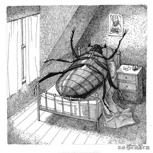 卡夫卡变形记中的孤独与异化,卡夫卡变形记是魔幻现实主义吗