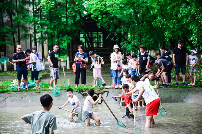 乌村暑期夏令营，吃喝玩乐在这里