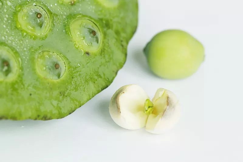 什么是药食同源你知道吗,如何正确认识药食同源