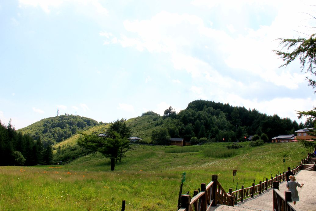 驼梁一日游日记,五台县南驼梁游记