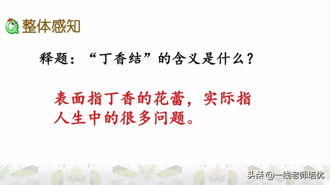 六年级上册第二课丁香结知识点,部编版六年级上册语文丁香结预习