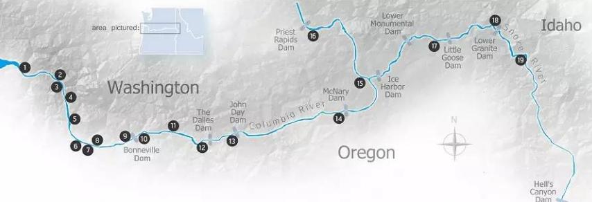 *哥涛**瞎唠：钓鱼致富痴人说梦？在这座城市有人靠钓鱼月入10万