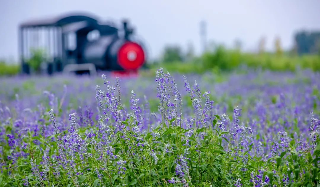 在济南花式避暑，一见“清”心！只需一瞥，便足以把酷夏原谅…