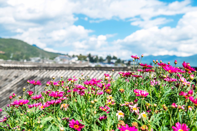 丽江旅游住哪个客栈比较好一点,丽江民宿客栈推荐便宜五天四晚