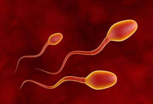 久站或久坐蛋蛋坠疼会自愈吗,久坐为啥蛋蛋会疼怎么处理