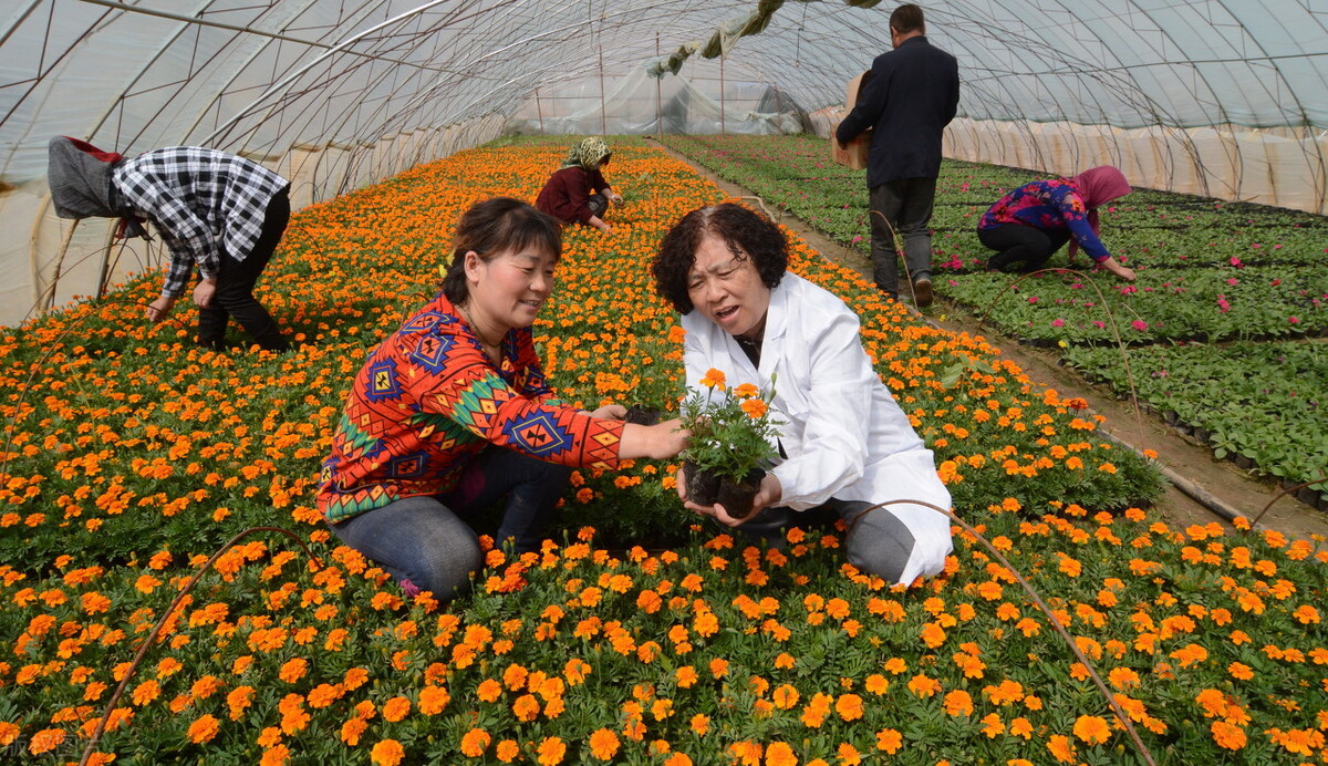 国家为什么要大力发展湖南省宁乡市？