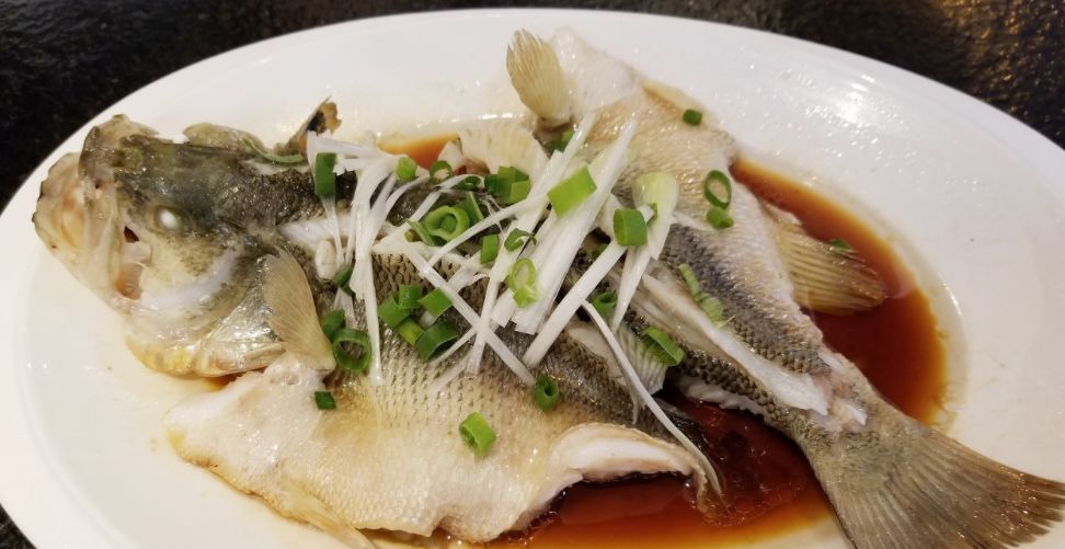 鱼儿食欲怎么样,鱼儿是怎么吃东西