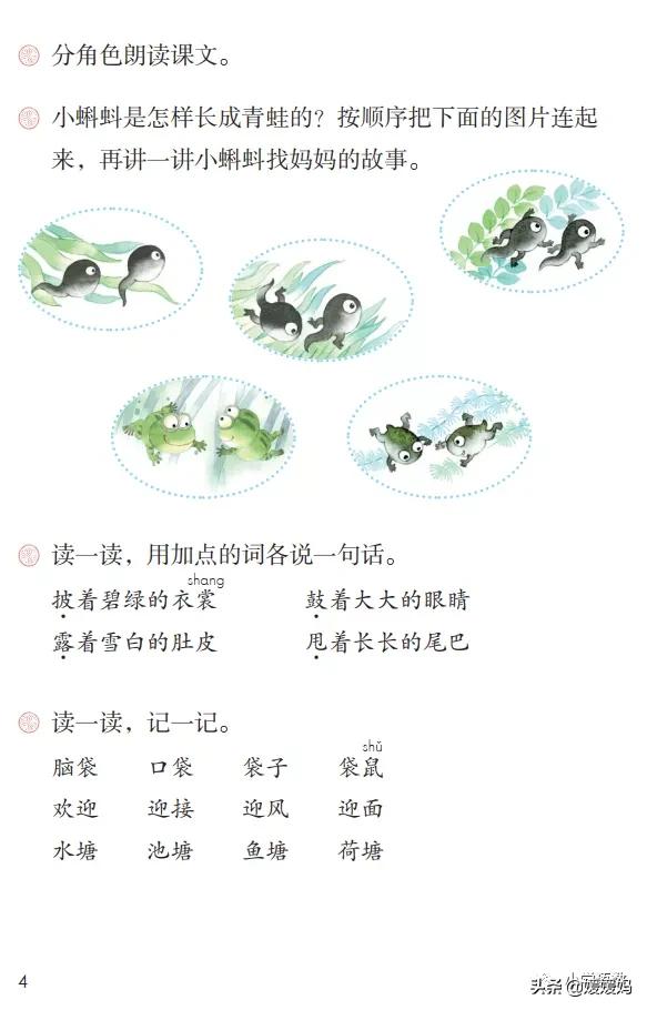 二年级上册小蝌蚪找妈妈听写词语,朗读二年级上册语文小蝌蚪找妈妈