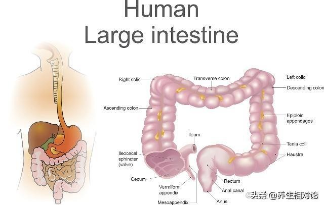 不论男女,这几个地方越干净,也许对身体健康不利,提前了解一下