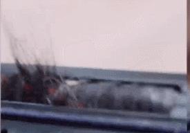 创业网红罗永浩近况,罗永浩讲述创业经历视频