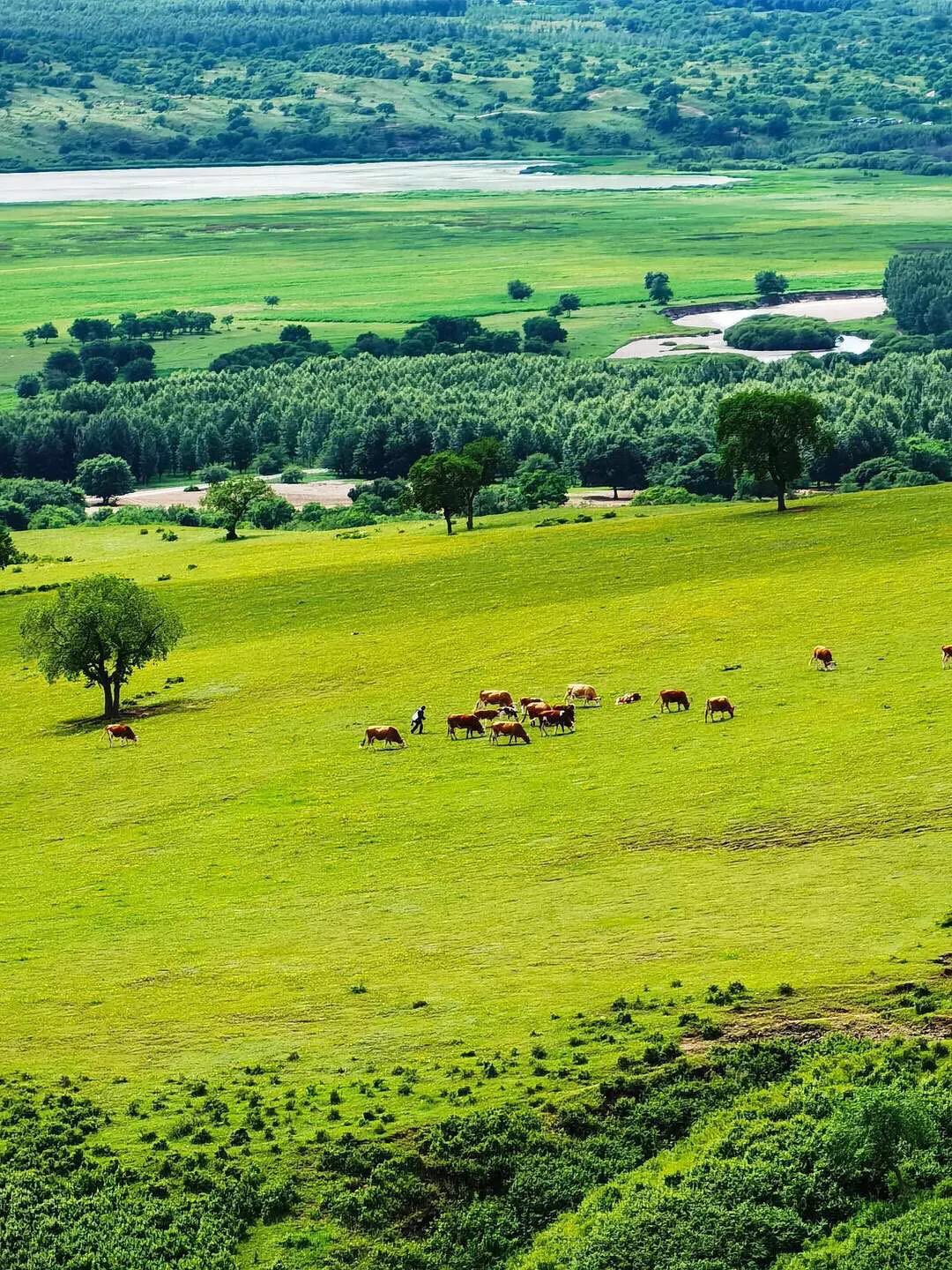 手拍世界-2021年09月各周最佳作品专集（总第716期）