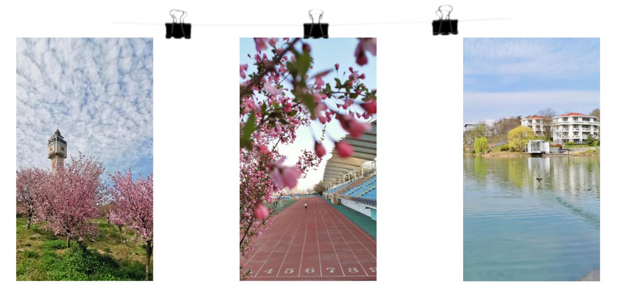 南京工业大学就业率最新排名,南京工业大学一年有几次校招