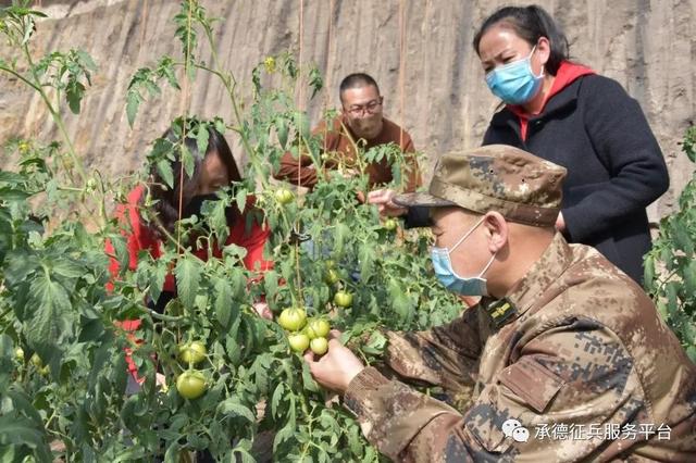 河北省承德市抗疫情况,承德疫情防控消息解说