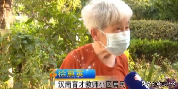 一城好人吴良玉完整视频,一城好人