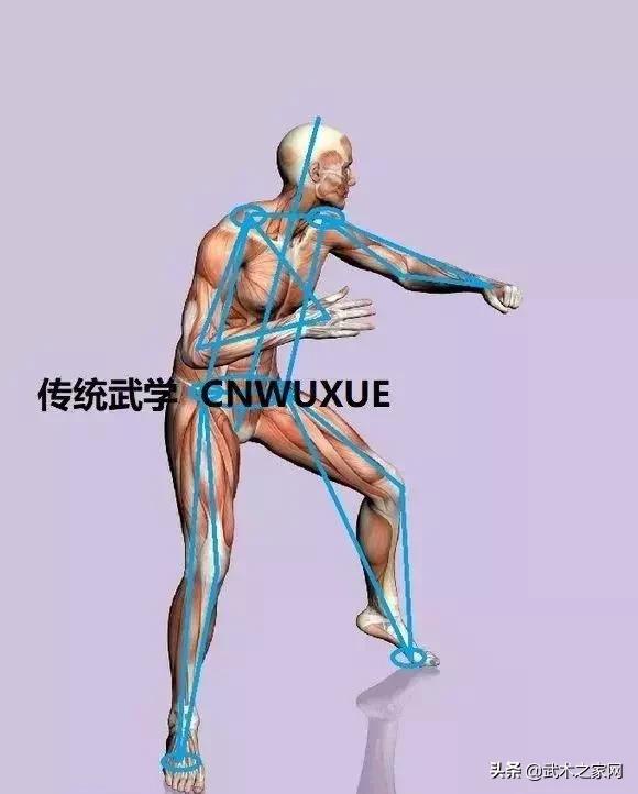 拧腰转胯的训练,学会拧腰转胯打出全身之力