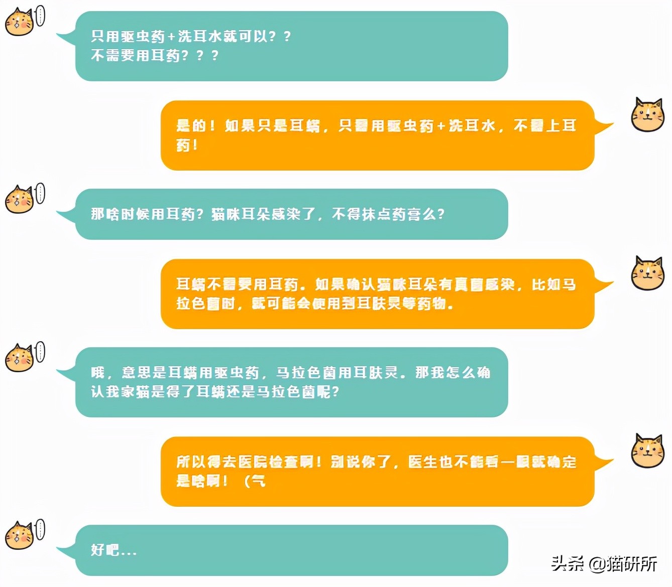 猫咪耳螨怎么治疗才能彻底好,耳螨猫咪用什么药猫咪老是乱动