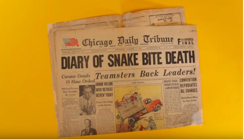 被非洲树蛇咬到会怎么样？他作死尝试，全身寒冷，体内大出血而亡