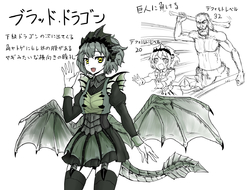 上古卷轴5好玩吗值得入手吗,上古卷轴5switch值得入手吗