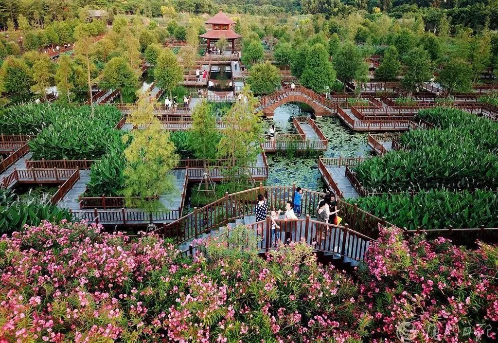 厦门婚纱拍摄地方推荐,旅游婚纱摄影推荐厦门