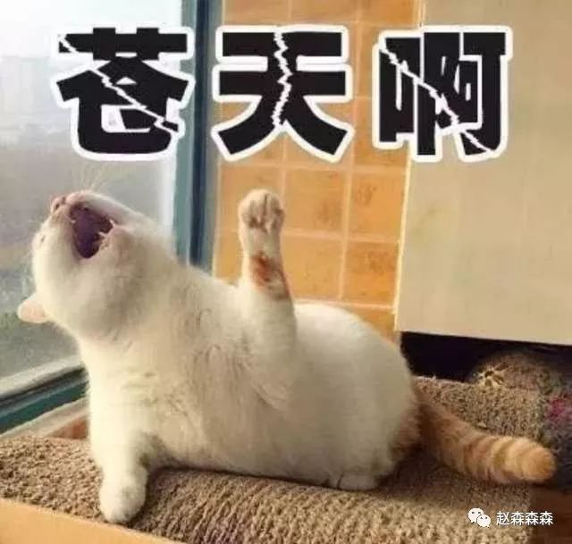 战斗民族的美食你吃过吗,战斗民族的美食图片