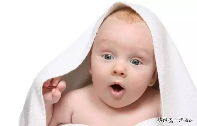 益生菌的58个问答,益生菌常见问答