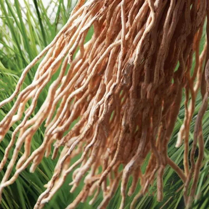 精油的有效期限是多久,精油一般开了保质期是多久