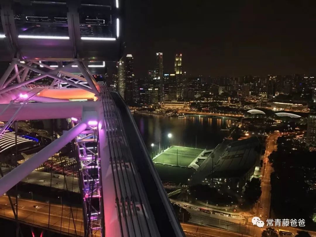 十一新加坡,十一游学新加坡