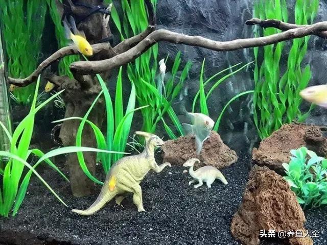 养鱼的鱼缸家里没有怎么办,养鱼没地方放鱼缸