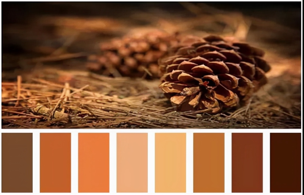 实穿又不挑肤色的棕色系穿搭,棕色穿搭是什么系列