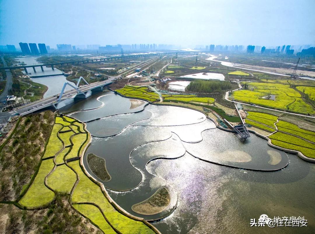 西咸新区沣西,重识